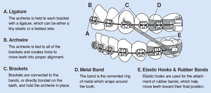 b7 Glossary of Terms