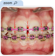 c2 Glossary of Terms